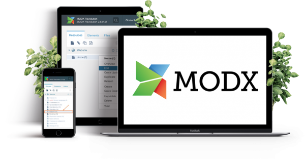 Создание и поддержка сайта на MODX